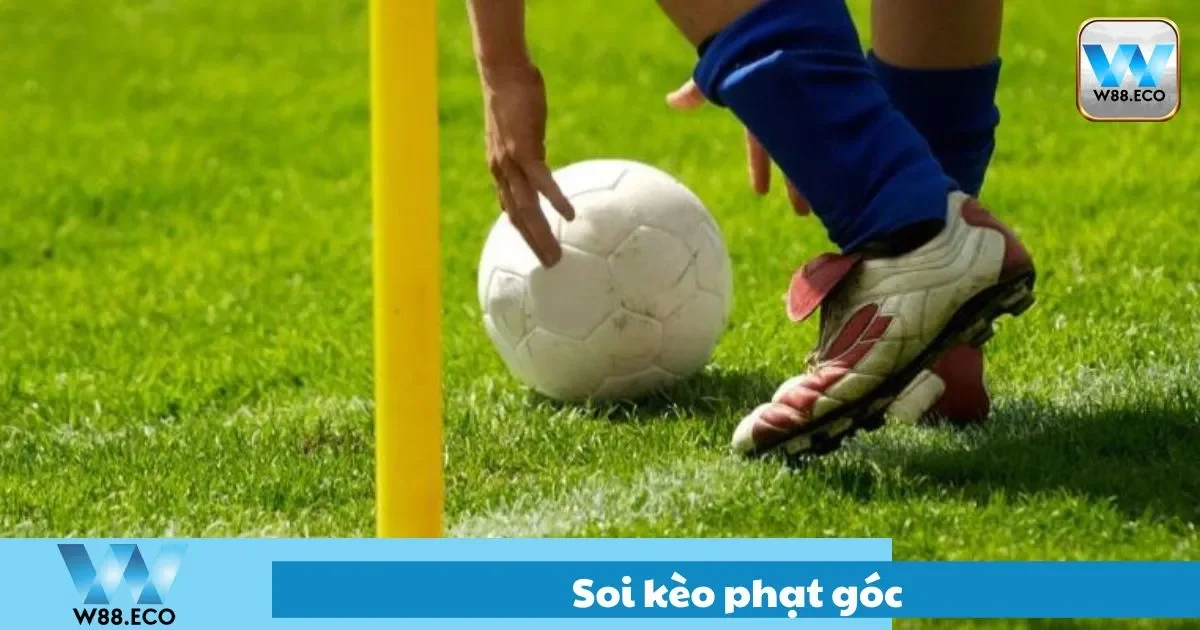 Chỉ số cần theo dõi