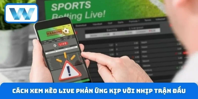 Cách xem kèo live chuẩn là phản ứng kịp với nhịp trận đấu