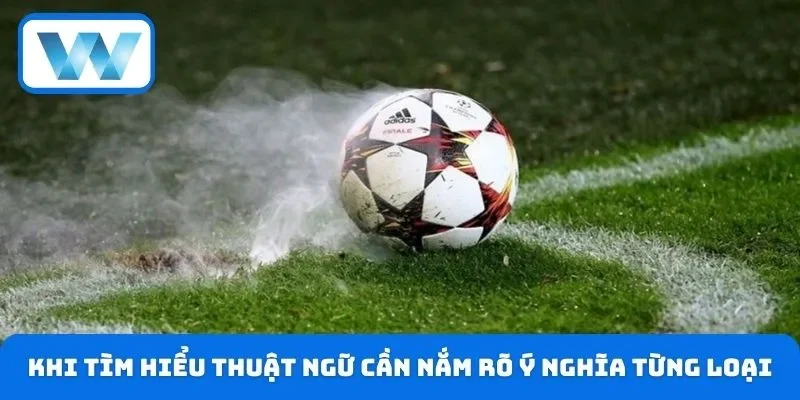 Khi tìm hiểu thuật ngữ cần nắm rõ ý nghĩa từng loại