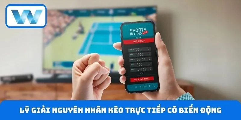 Lý giải nguyên nhân kèo trực tiếp có biến động