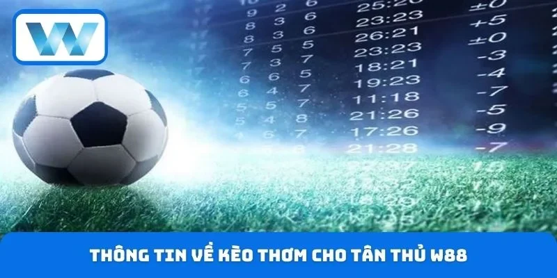 Thông tin về kèo thơm cho tân thủ W88
