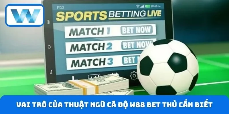 Vai trò của thuật ngữ cá độ W88 bet thủ cần biết